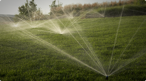 Irrigation system watering lawn